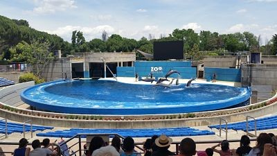 Excursión al Zoo de Madrid