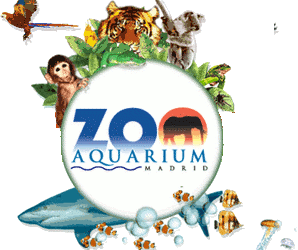 Visita Zoo-Aquarium Madrid