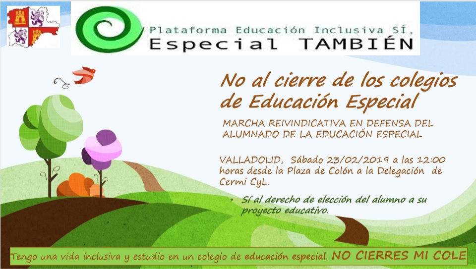 Marcha reivindicativa en defensa de la educación especial 23 febrero Valladolid